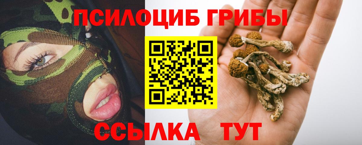 Галлюциногенные грибы MAGIC MUSHROOMS Кизилюрт