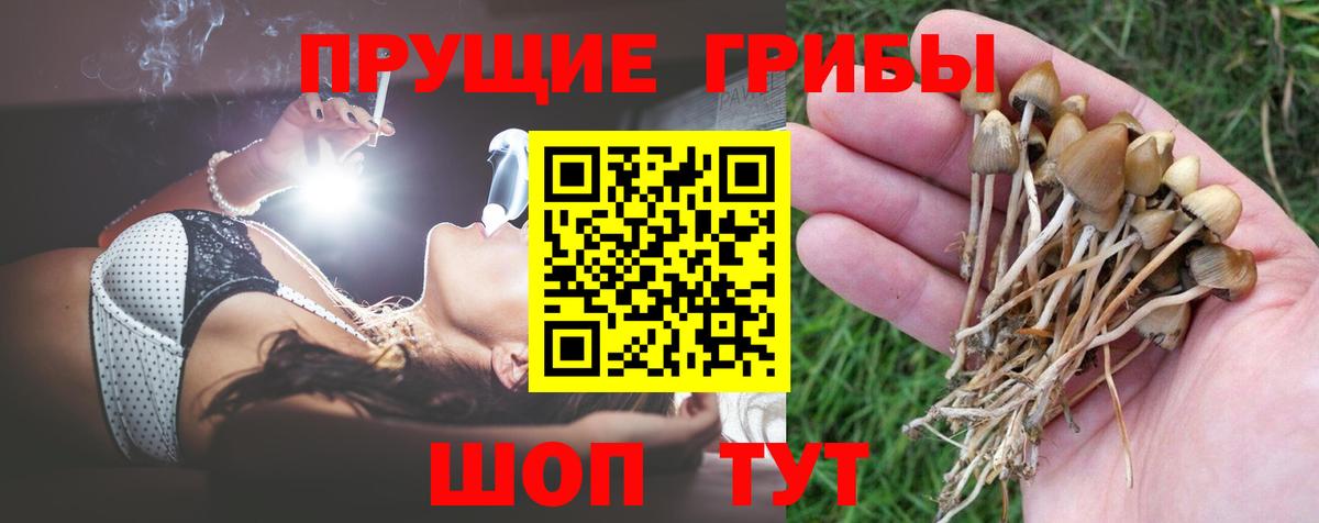 Кизилюрт  Галлюциногенные грибы мицелий  Вход с VPN  Галлюциногенные грибы мухоморы 